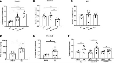 Retinoic Acid Signaling Modulates Recipient Gut Barrier Integrity and Microbiota After Allogeneic Hematopoietic Stem Cell Transplantation in Mice